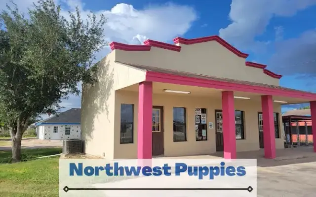 Northwest Puppies in Mission, TX