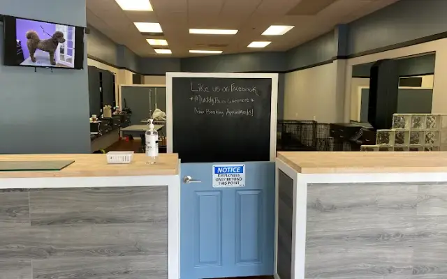 Muddy Paws Grooming -Livermore in Livermore, CA