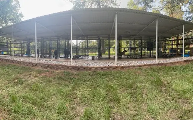 Dogwood Kennels in Nacogdoches, TX