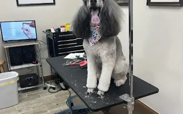 Fancy Tales Mobile Grooming in Ocala, FL