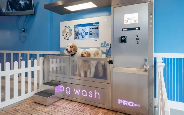 Paw Wash in Blacksburg, VA