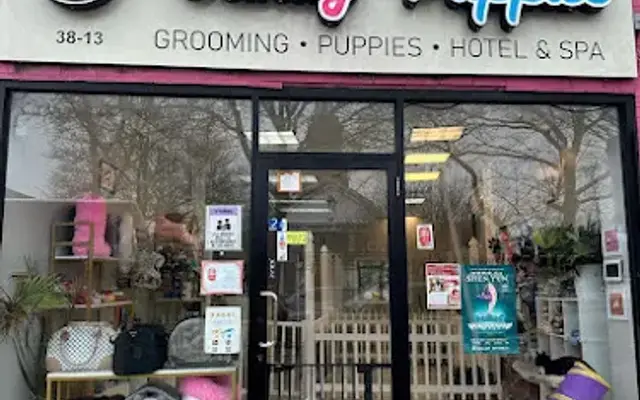 Vanity Puppies Boutique in Bayside, NY