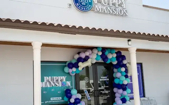 Puppy Mansion | Puppies in Miami | Premier Puppy Store in Miami, FL