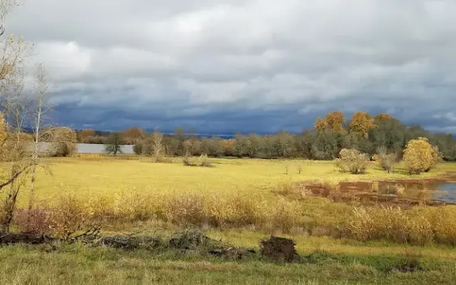 Sauvie Island Kennel in Portland, OR