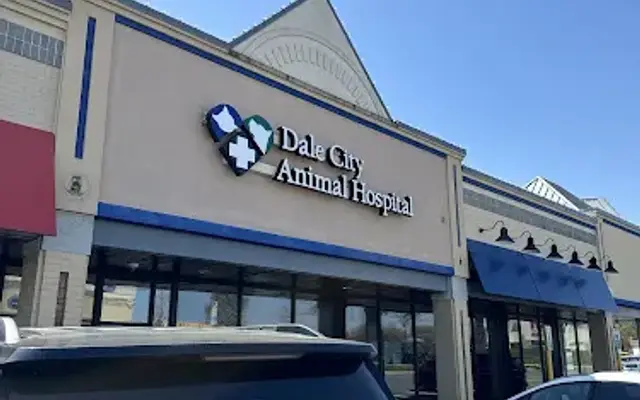 Dale City Animal Hospital in Woodbridge, VA