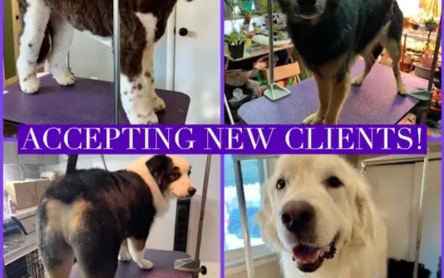 House Call Dog Grooming by Jenn LLC in Gahanna, OH