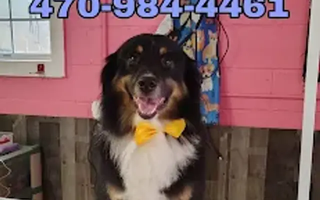 Ruff’s & Whisker’s Bathhouse LLC in Covington, GA