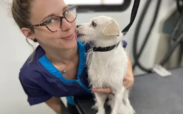 Dignified Dog Grooming in Payson, AZ