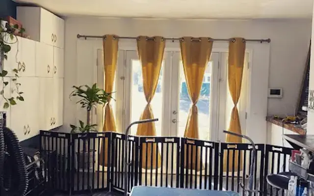 Alpha Pet Spa & Salon in Reno, NV