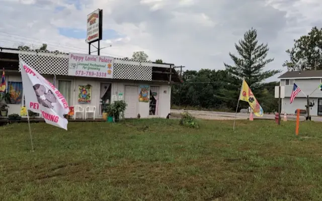 Puppy Lovin' Palace in Sunrise Beach, MO