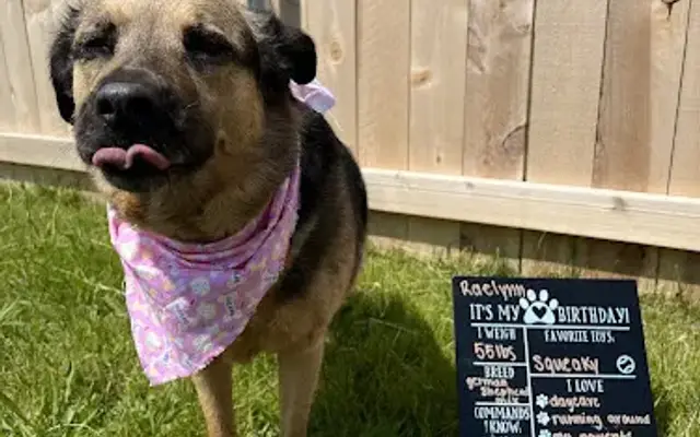 Charming Paws - Grafton in Grafton, WI