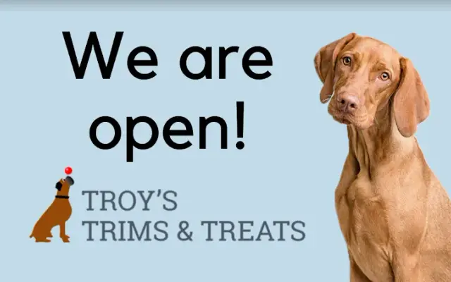 Troy's Trims and Treats in Englewood, NJ