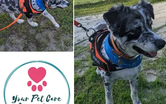 PetWise Professionals (Your Pet Care Connection LLC) in Cameron, NC