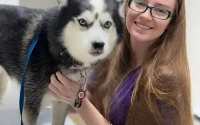 Shelby Center Hospital for Animals in Memphis, TN