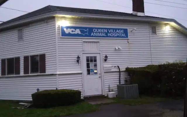 Queen Village Animal Hospital in Camden, NY