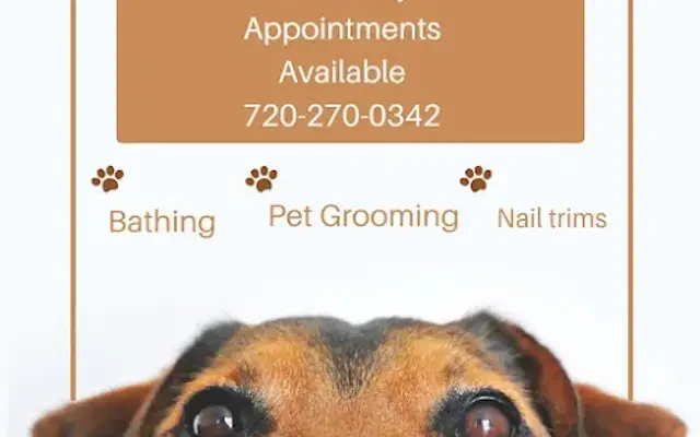 Aunt A's Grooming L.L.C. in Boulder, CO