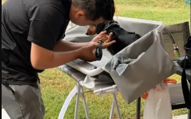 Sam's Home Mobile Grooming in Belmont, CA