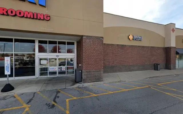 PetSmart Doggie Day Camp in Louisville, KY