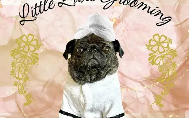 Little Luxe Grooming in Mountlake Terrace, WA