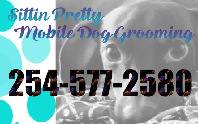 Sittin Pretty Mobile Dog Grooming in Harker Heights, TX