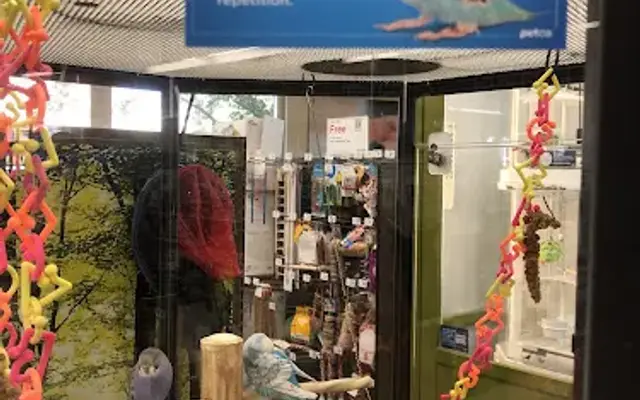 Petco in Walnut Creek, CA