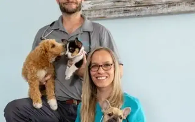 Coastal Animal Clinic - Tampa in Tampa, FL