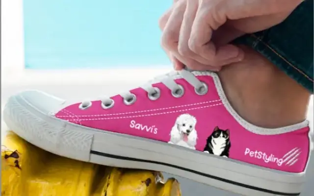 Savvi's Pet Styling Studio in Kenneth City, FL