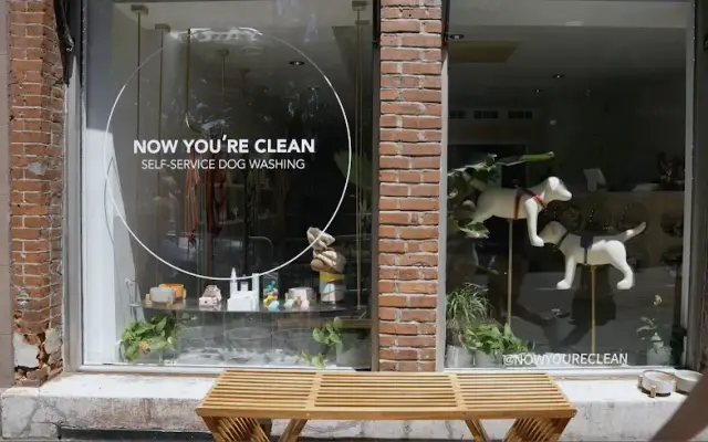 Now You're Clean - West Village in New York, NY