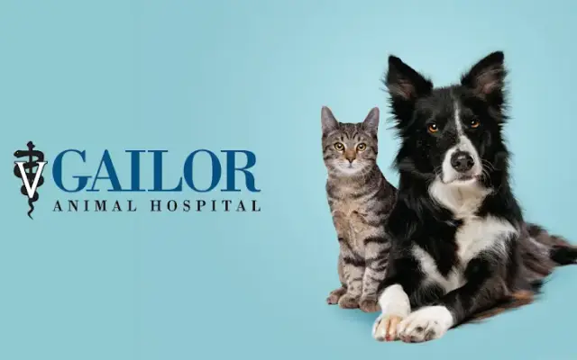 Gailor Animal Hospital in Louisville, KY