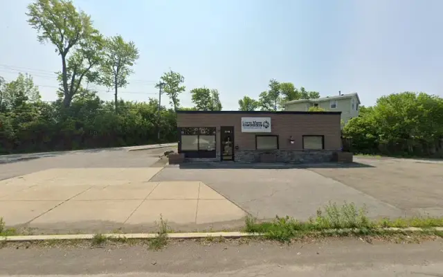 Lion's Mane pet grooming in Lake View, NY