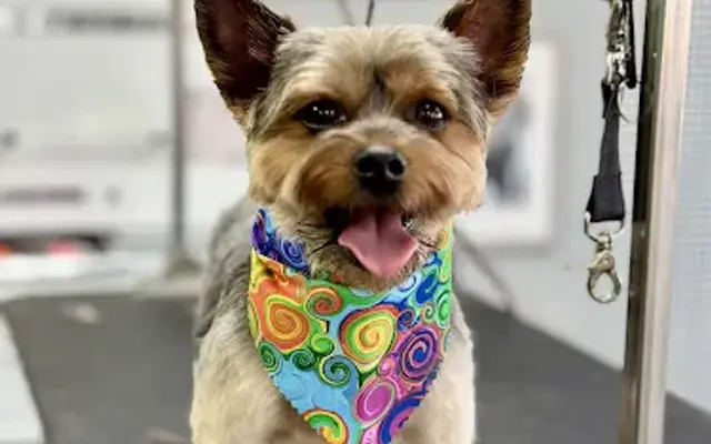 Groomingdales Pet Salon in Fairmont, MN