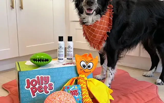 Jolly Pets in Streetsboro, OH