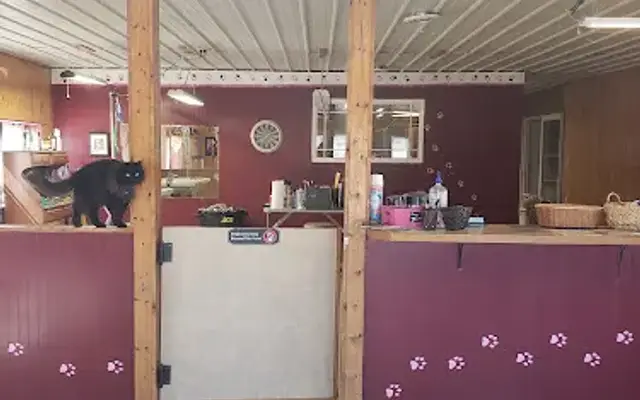Clean as a whisker pet salon in Alma, MI