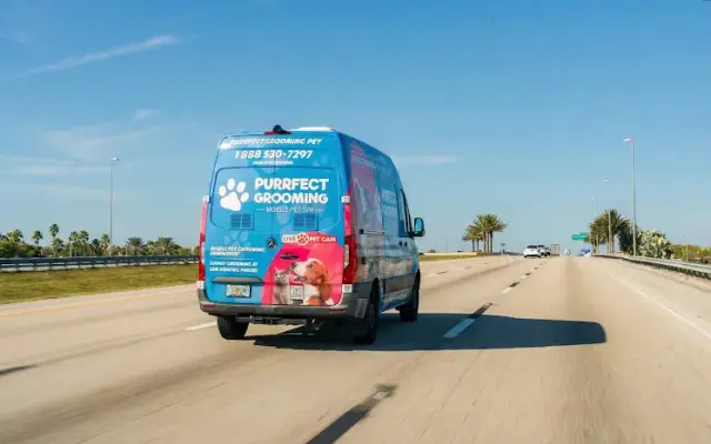 Purrfect Grooming - Mobile Dog Pet Grooming Houston in Houston, TX