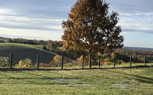 Muddy Puppy Farm in Ewing, KY