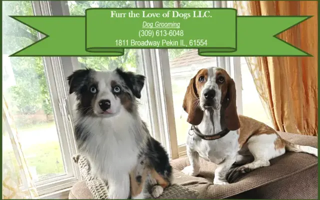 Furr the Love of Dogs LLC., Pekin, IL in Pekin, IL