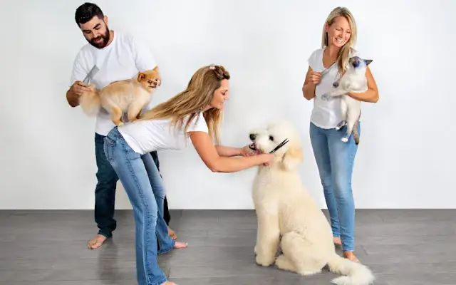 It's Pawfect in Westlake Village, CA