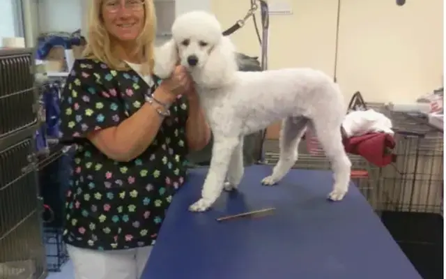 Baybrook Grooming, LLC in Milford, CT