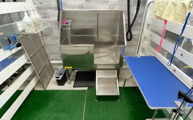 Dirty Doggy Self-Serve Grooming in Marietta, GA