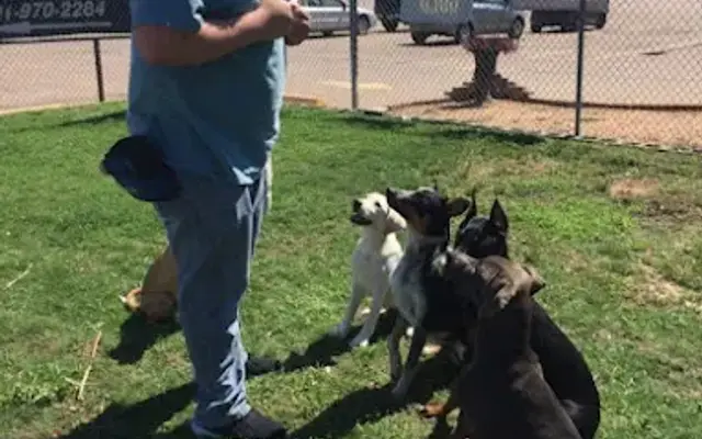 Ruff Tales in Houston, TX