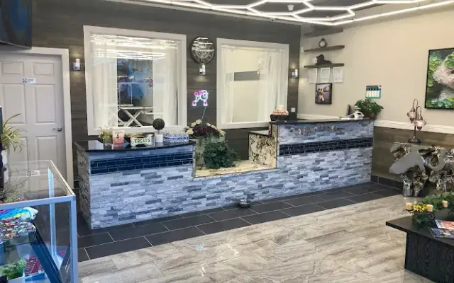 Jurassic Bark Grooming in Winchester, VA