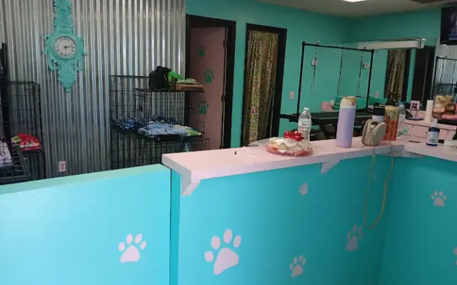 Couture Canine Dog Salon and Spa in Navarre, FL
