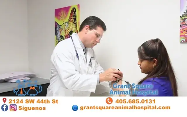 Grant Square Animal Hospital in Oklahoma City, OK