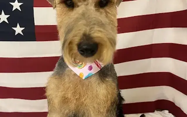 The Grooming Room in Jensen Beach, FL