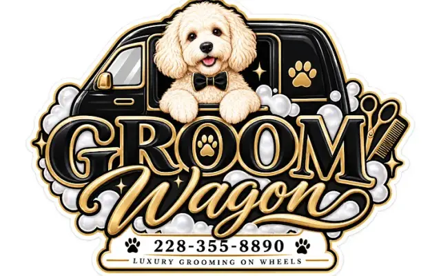 Groom Wagon in D'Iberville, MS