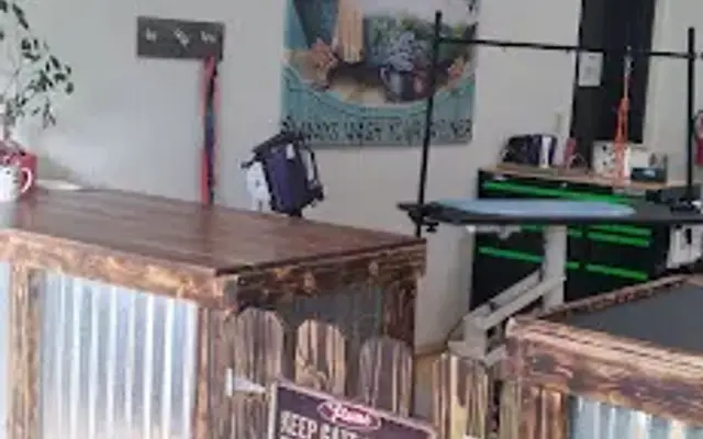 Holistic pet spa in Warne, NC