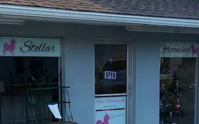 Stellar Grooming in Milan, TN