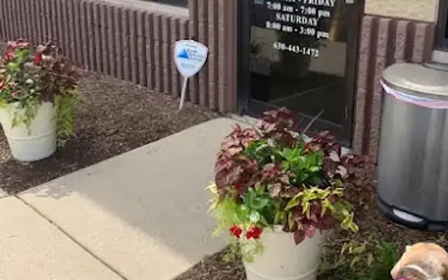 Animal House Veterinary Hospital in St. Charles, IL