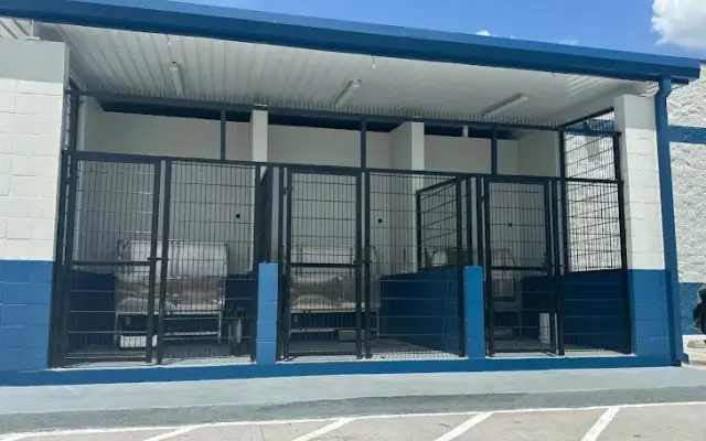 Roxy's Dog Wash in Baytown, TX