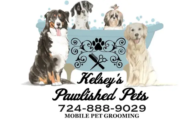 Kelsey's Pawlished Pets - Mobile Pet Grooming in Pittsburgh, PA